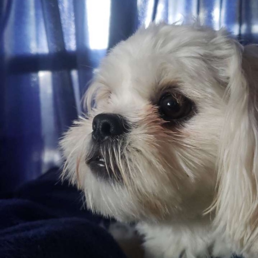 Meet your Posher, Kendall